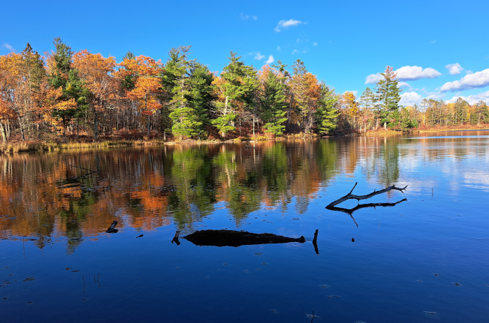 Fall Lake View