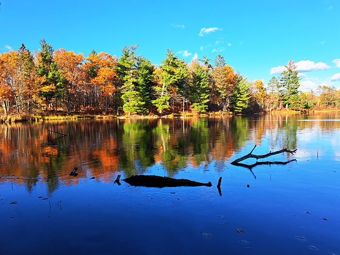 (Image - Shumway Fall Lake)
